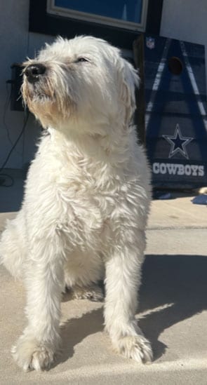 Meet Riley!